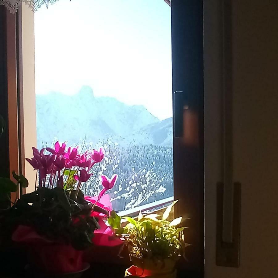 Da Nicola E Laura Apartment Santo Stefano Di Cadore Luaran gambar